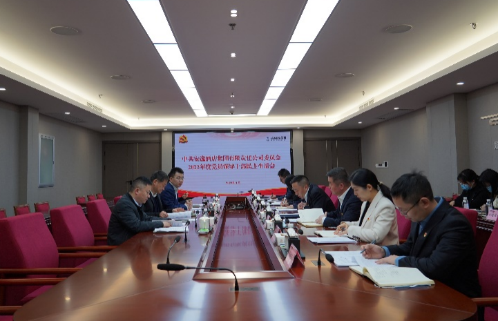 尊龙凯时集团党委书记、董事长任丁出席安逸酒店集团2022年度党员领导干部民主生活会